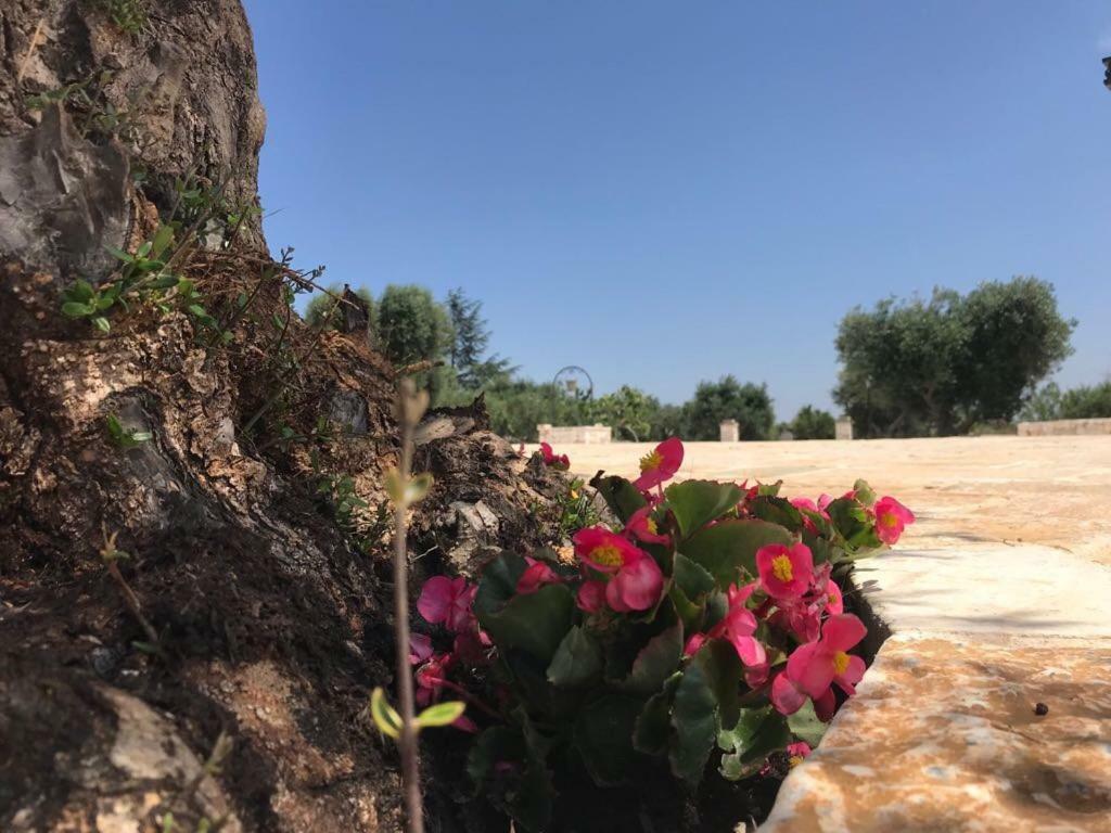 Trulli Da Lalli Ostuni Exterior foto